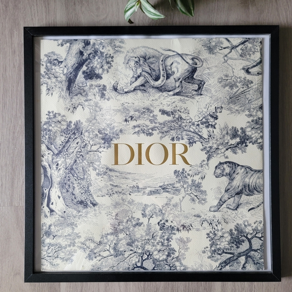 SALE🎉 Framed - Limited Edition Authentic Dior Shopping Bag - Framed - Picture 10 of 10